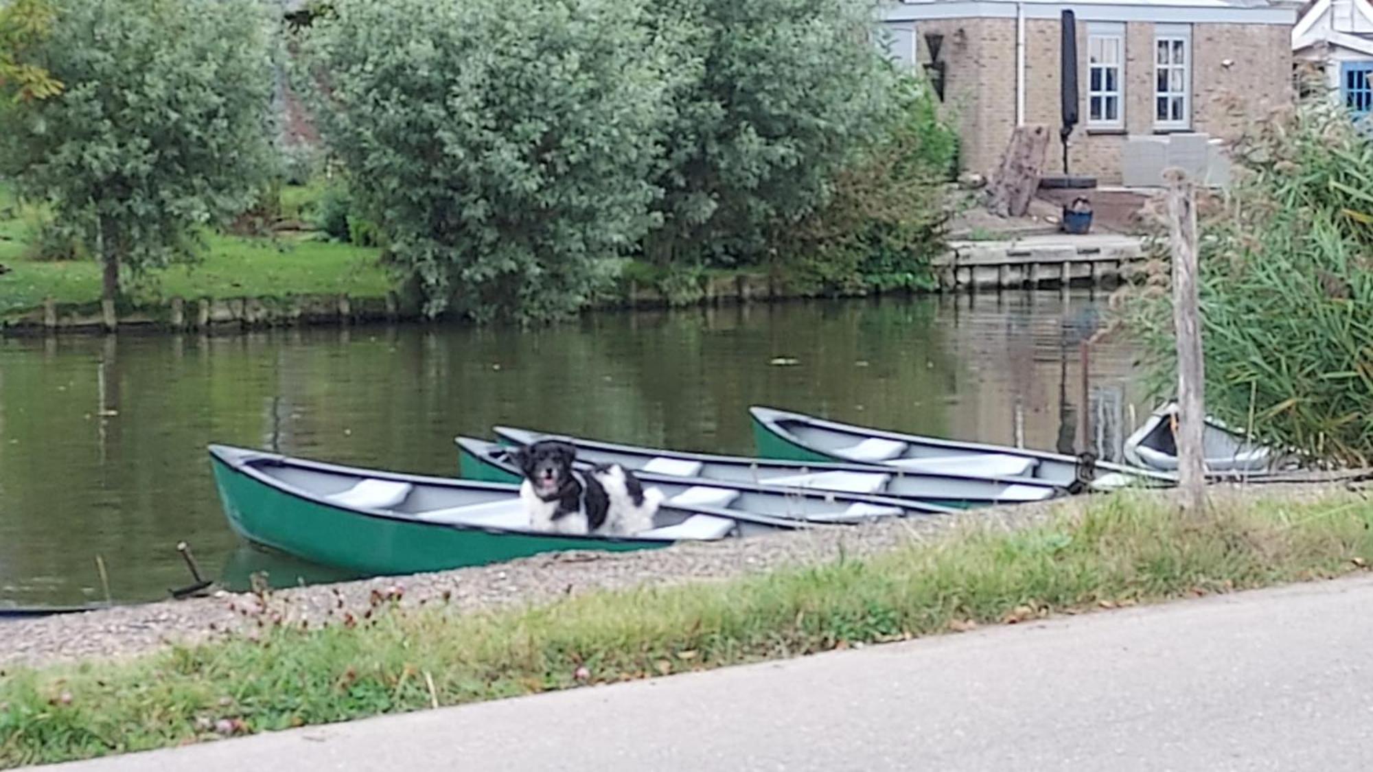 Buitenplaats Medemblik Luaran gambar